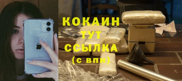 a pvp Ельня