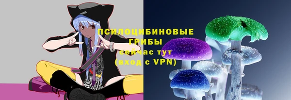 a pvp Ельня