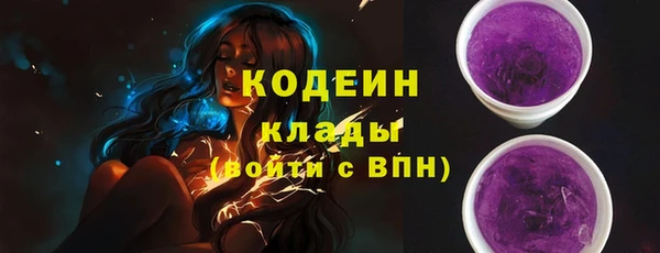a pvp Ельня