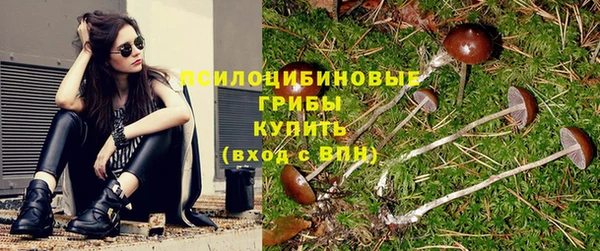 а пвп мука Елизово