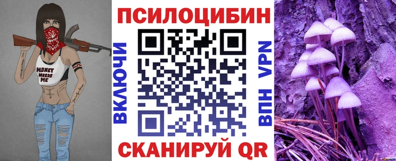Купить закладки  Муравленко  Галлюциногенные грибы Psilocybine cubensis 